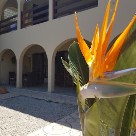 Santo Quintal Hostel Ubatuba Exterior foto